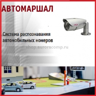 Комплект для распознавания номеров автомобилей на основе ПО Автомаршал (эконом)